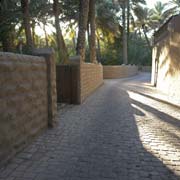 Alley in Al Ain Oasis